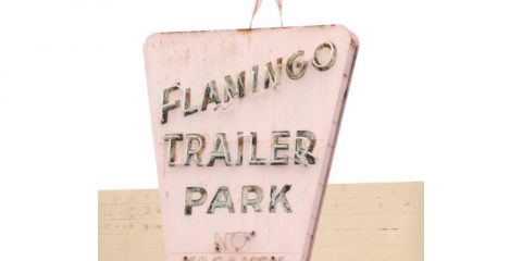 Think Pink - Flamants roses - Whatwedo Retro Signage
