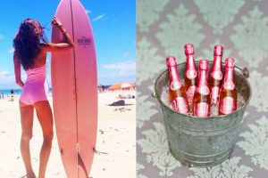 La vague rose - Cidres, Champagnes, Rosés aromatisés : Nicolas Feuillate